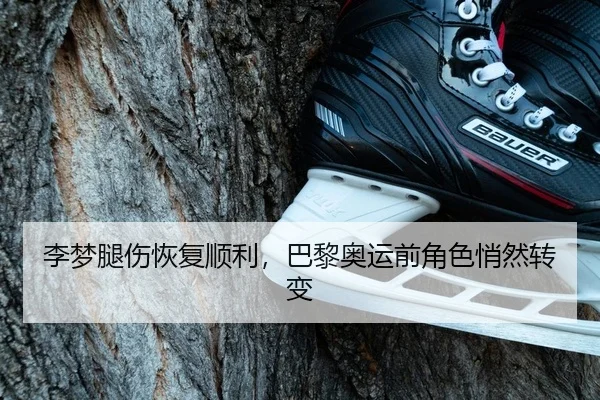 李梦腿伤恢复顺利，巴黎奥运前角色悄然转变